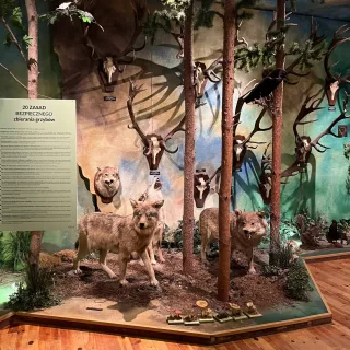 00107429-ffbb-48d5-a508-1e967a7bd652