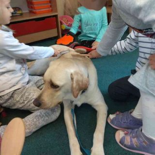 dogoterapia-Jezyki-Jag-1